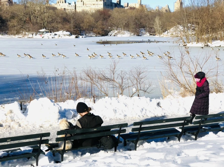 IMG_9872.jpg?type=w966