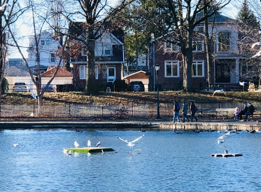 IMG_9258.jpg?type=w966