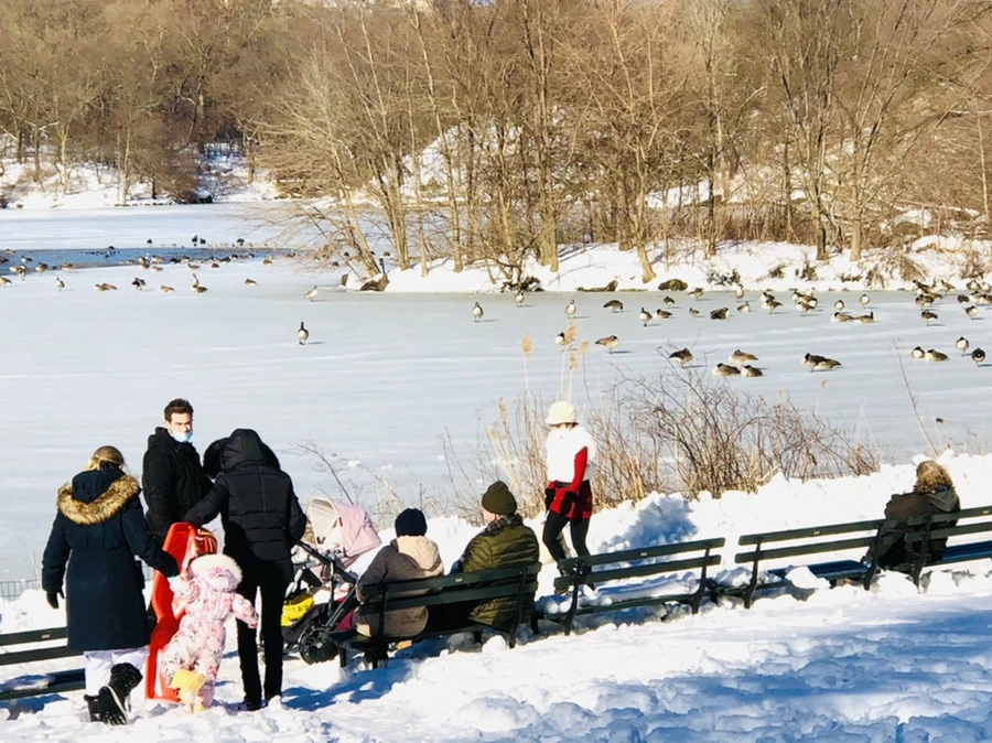 IMG_9807.jpg?type=w966