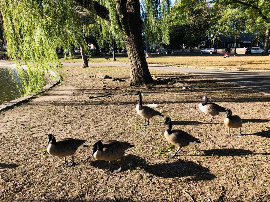 IMG_1872.jpg?type=w966