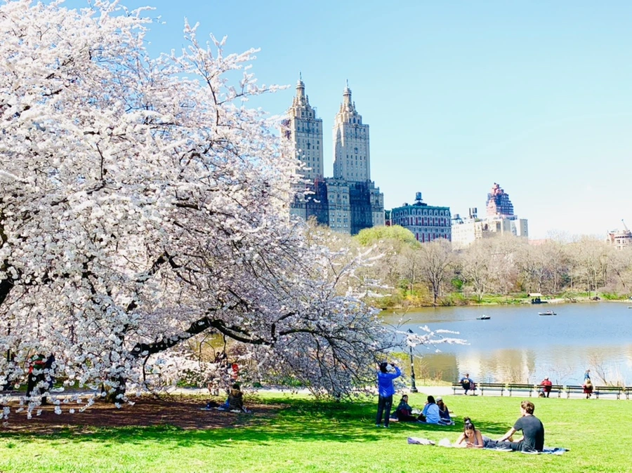 IMG_8968.jpg?type=w966