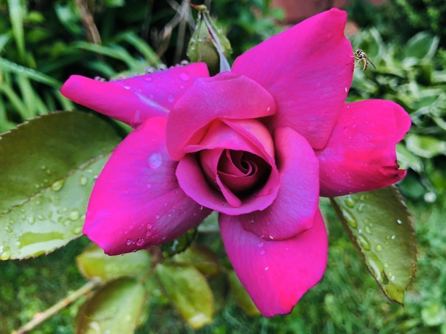 2PF1fkC-tSikWN1mT1ungJgPjyM