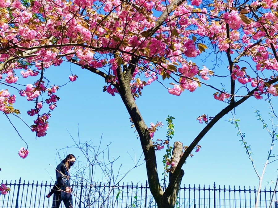 IMG_5995.jpg?type=w966