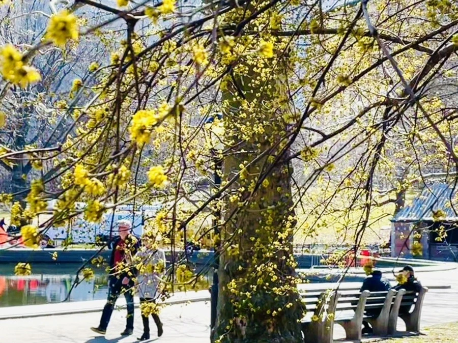 IXnFnV2UiYaxfO2n8ONnshSFgI4