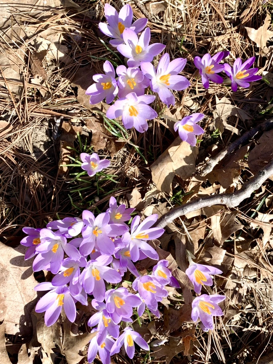 IMG_9669.jpg?type=w966