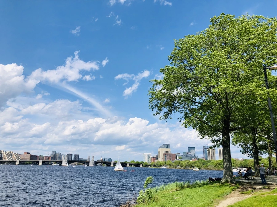 IMG_5247.jpg?type=w966