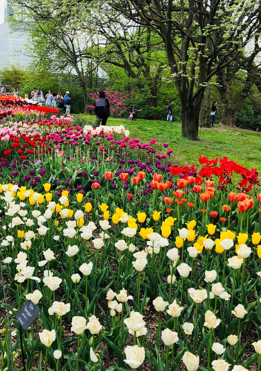 IMG_5508.jpg?type=w966