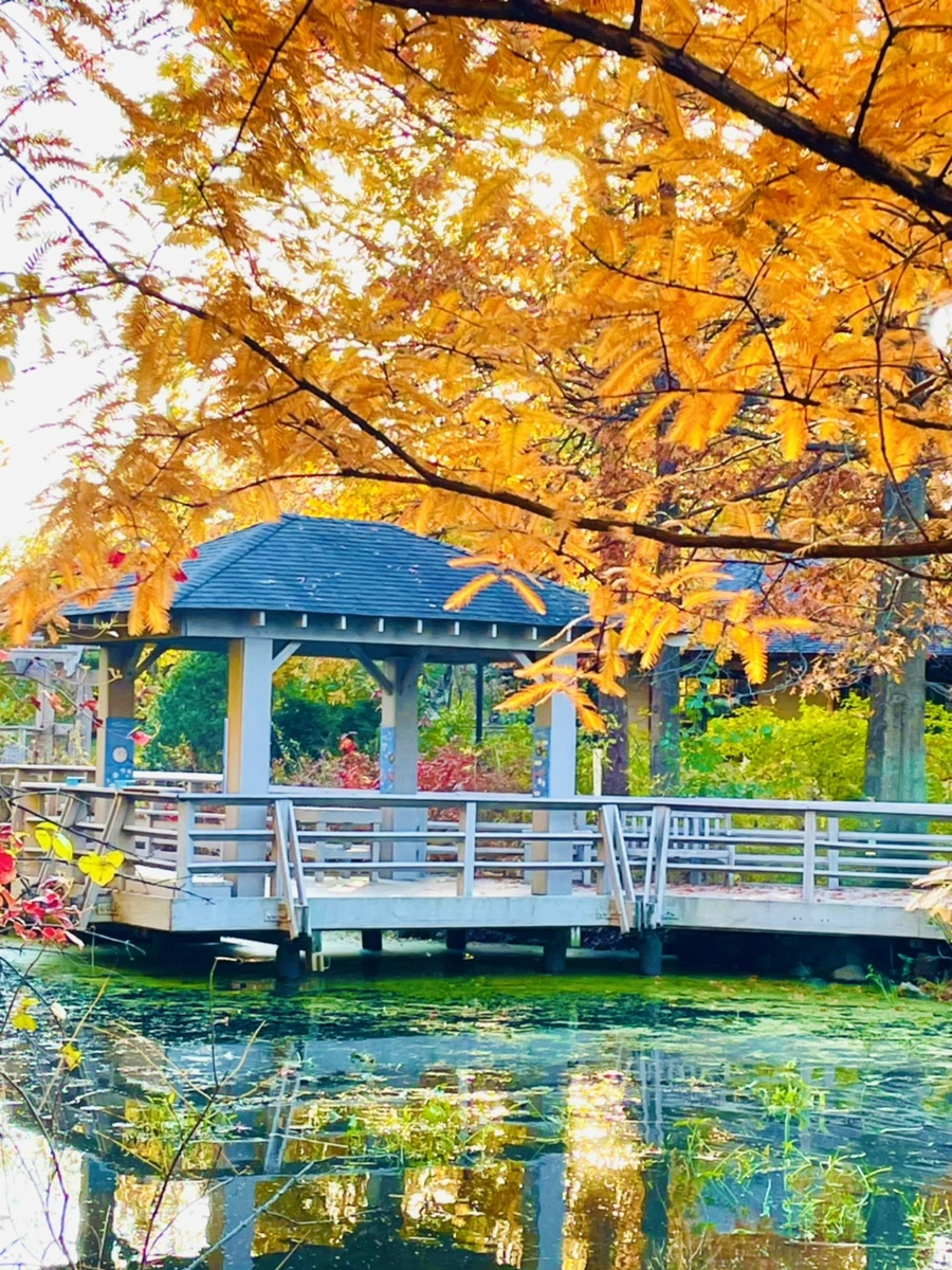 IMG_1824.jpg?type=w966