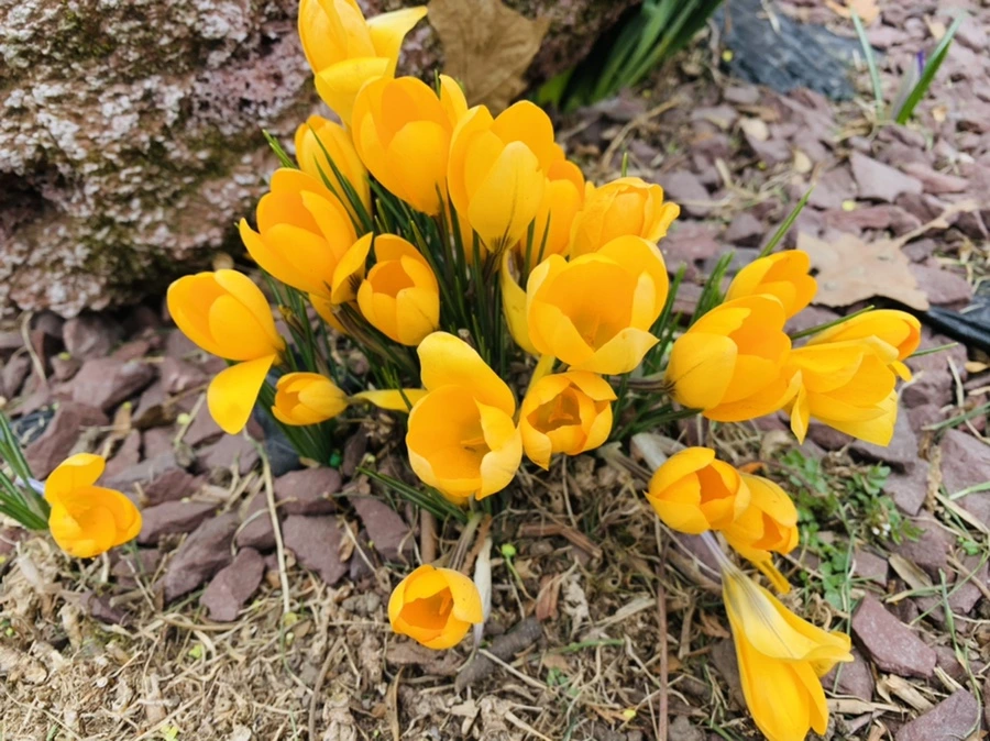 IMG_1659.jpg?type=w966