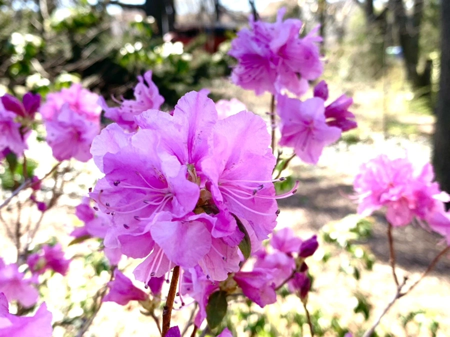 IMG_5644.jpg?type=w966