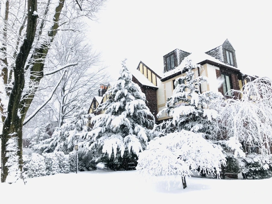 IMG_1008.jpg?type=w966