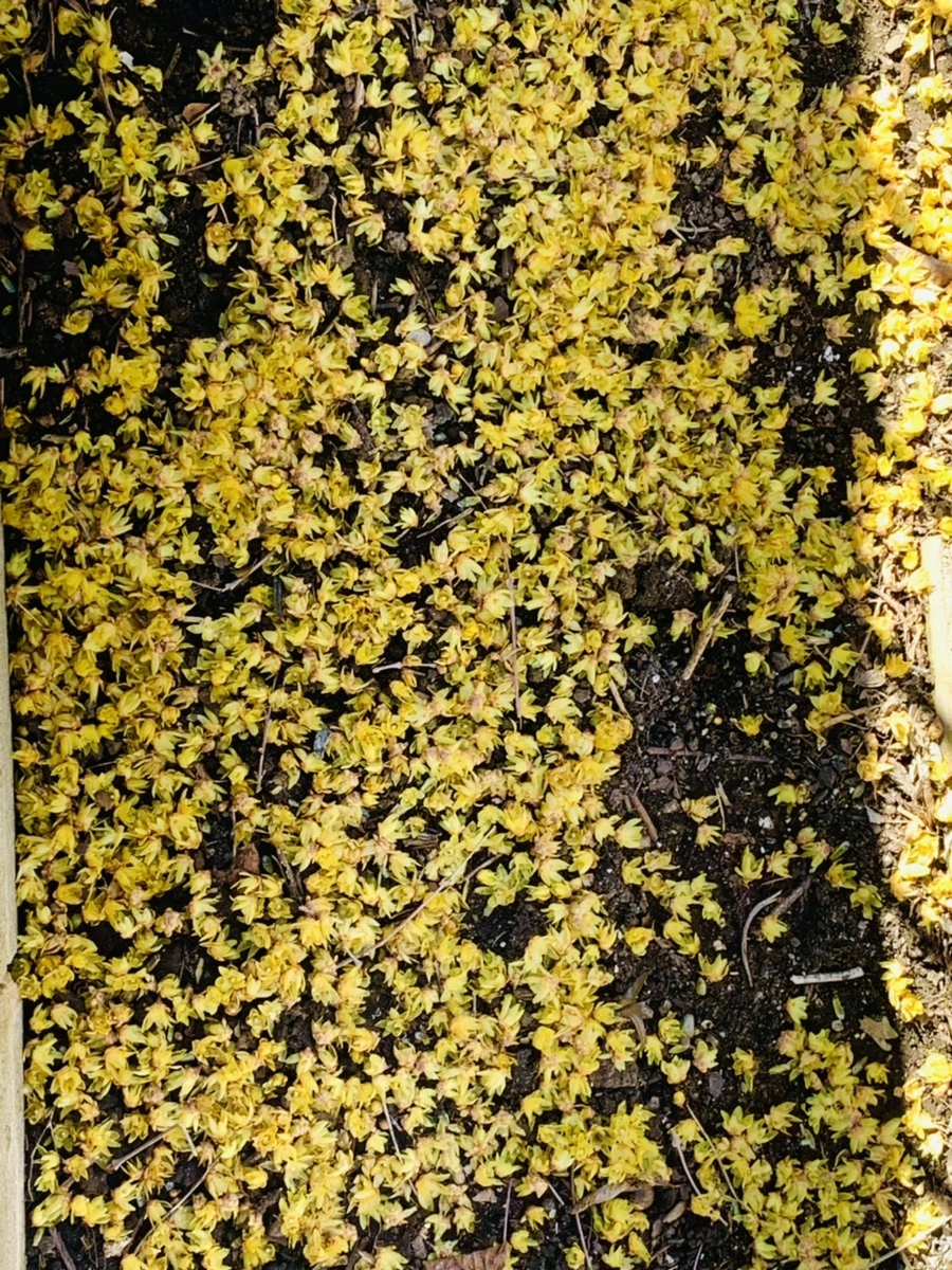 IMG_2577.jpg?type=w966