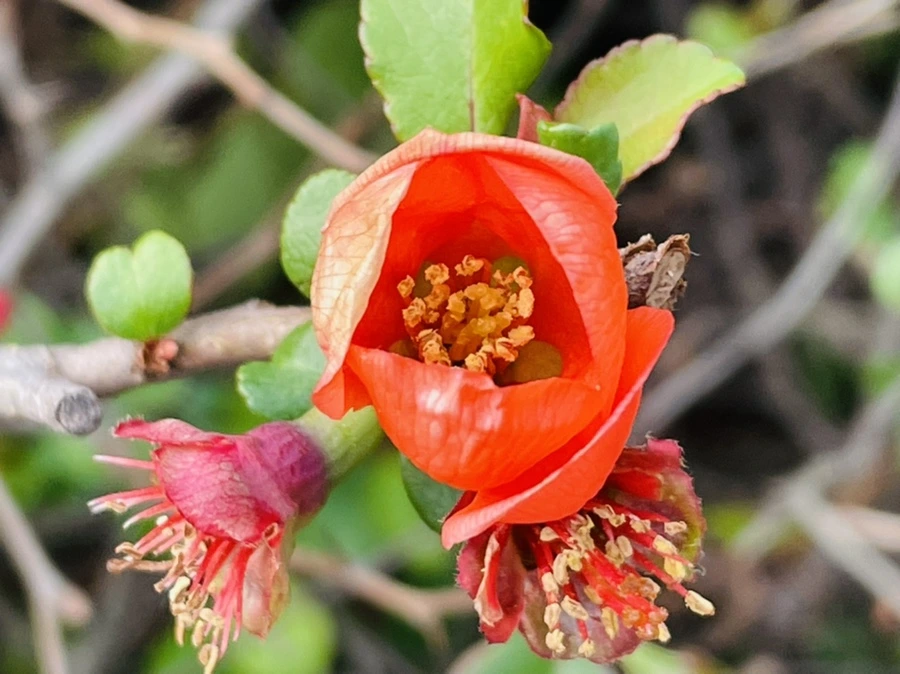 IMG_1282.jpg?type=w966