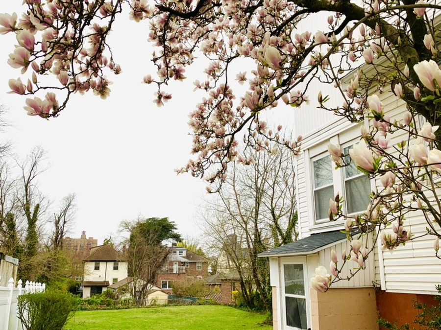 IMG_0750.jpg?type=w966