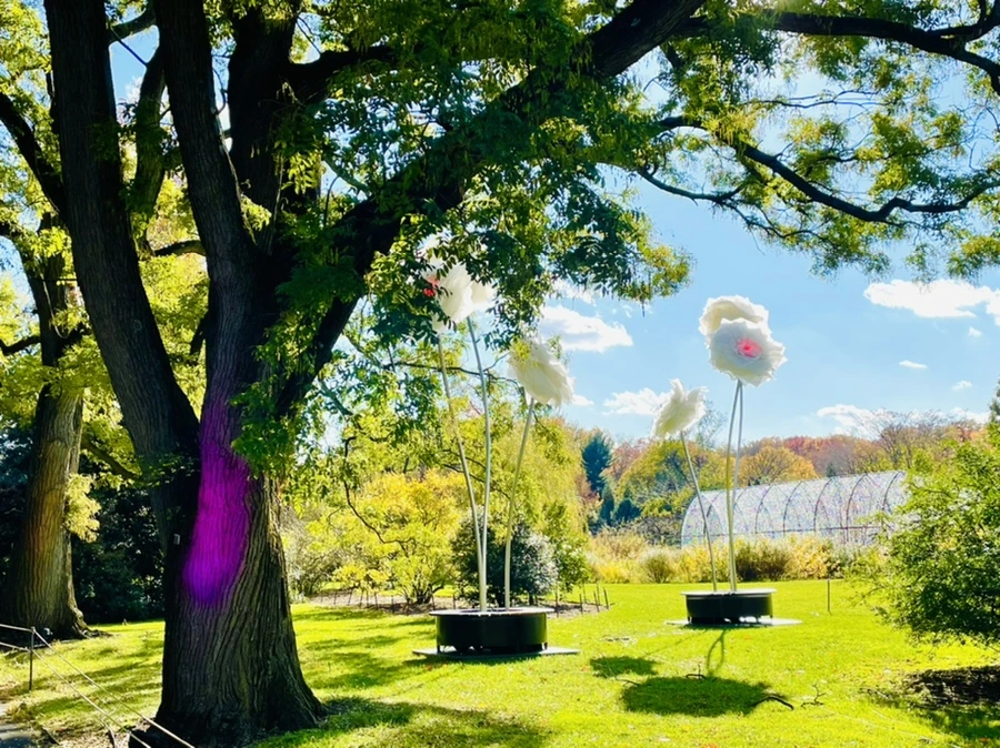 IMG_3148.jpg?type=w966