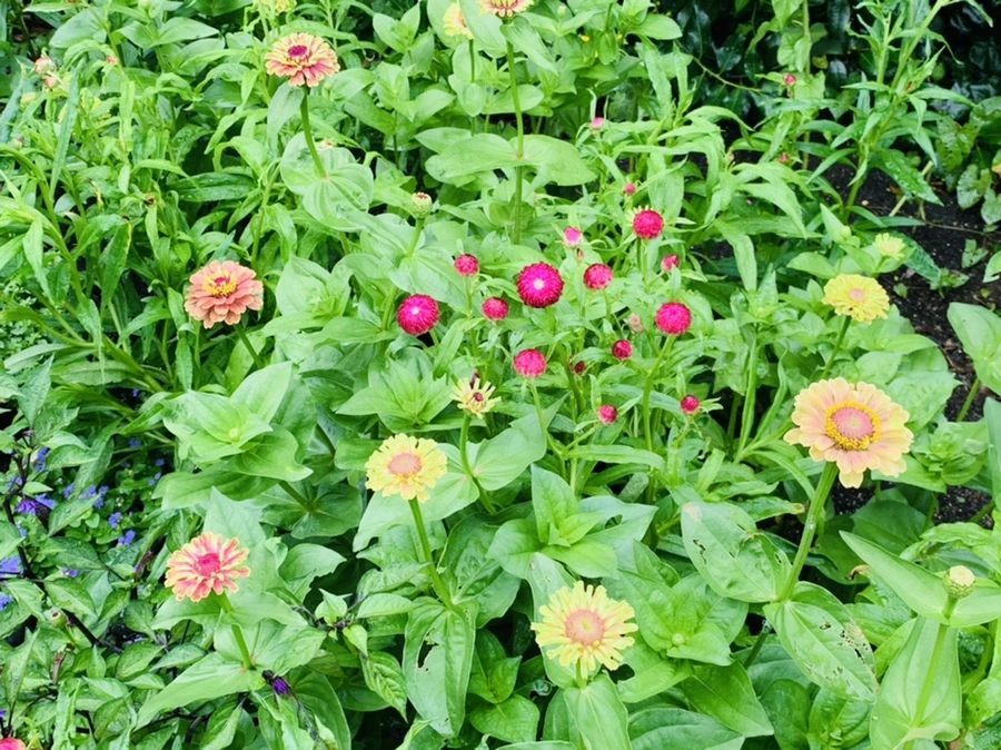 IMG_9552.jpg?type=w966