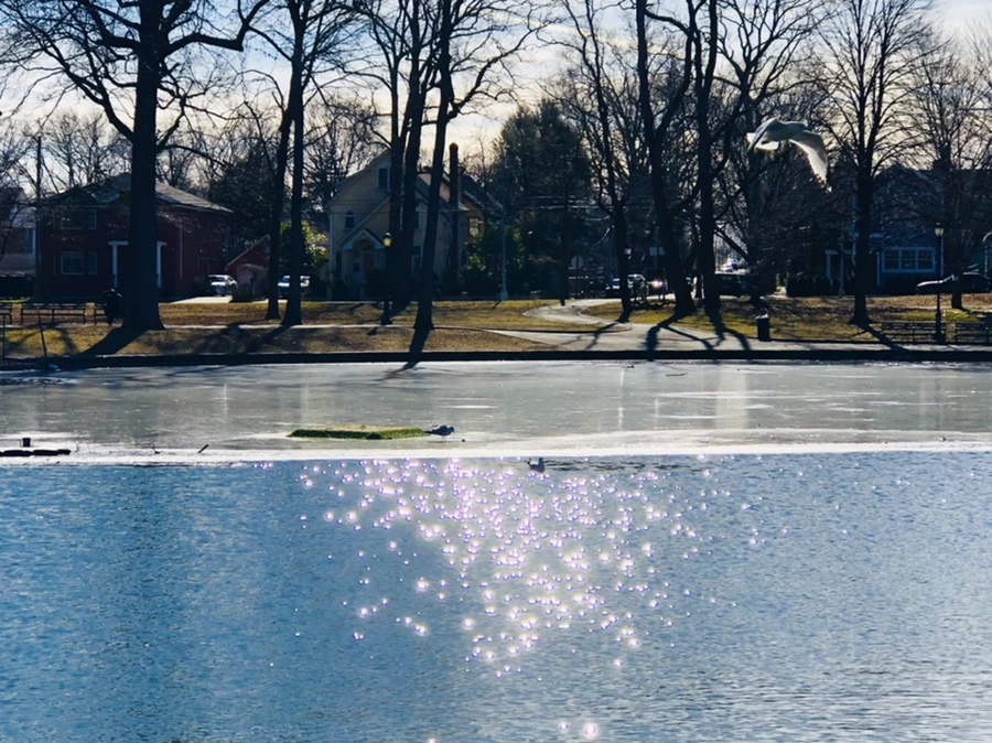 IMG_5386.jpg?type=w966