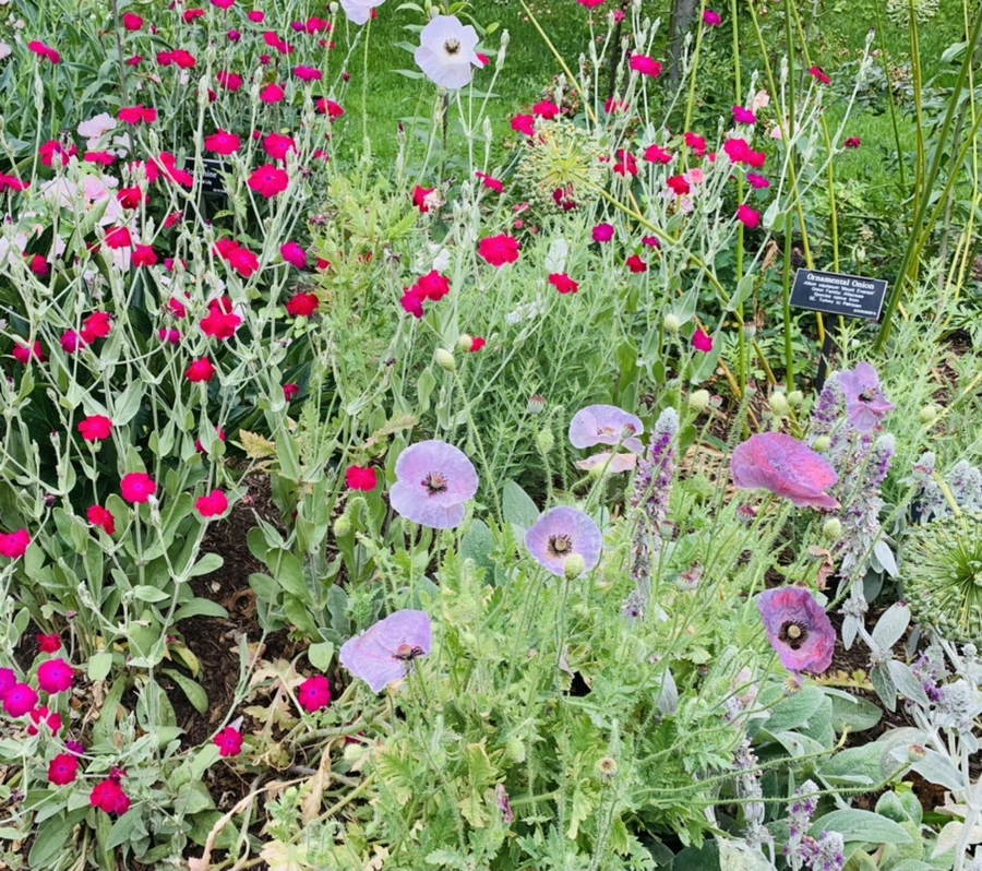 IMG_2912.jpg?type=w966