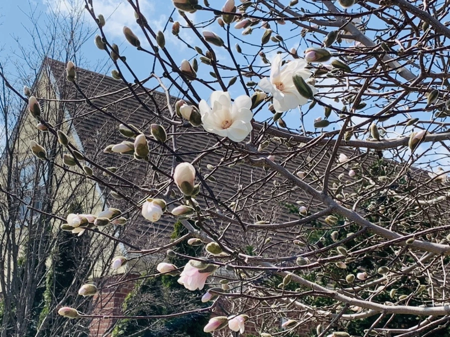 IMG_4358.jpg?type=w966