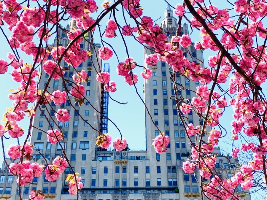 IMG_5819.jpg?type=w966