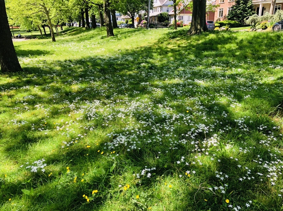 IMG_4861.jpg?type=w966