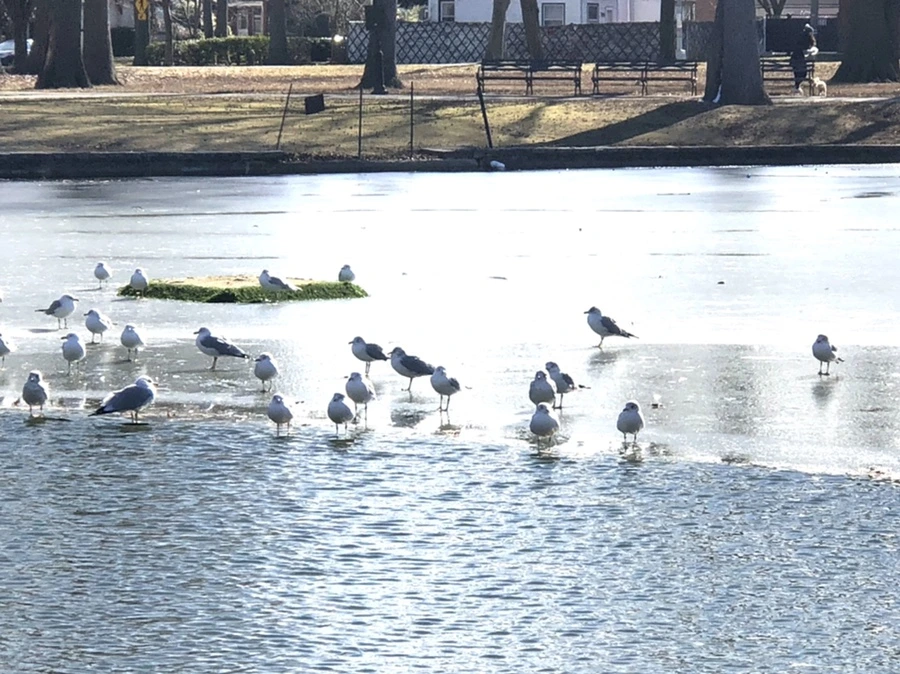 IMG_6812.jpg?type=w966