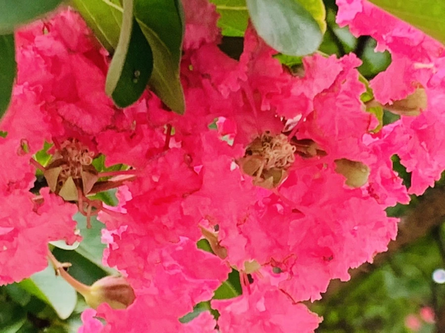 IMG_5961.jpg?type=w966