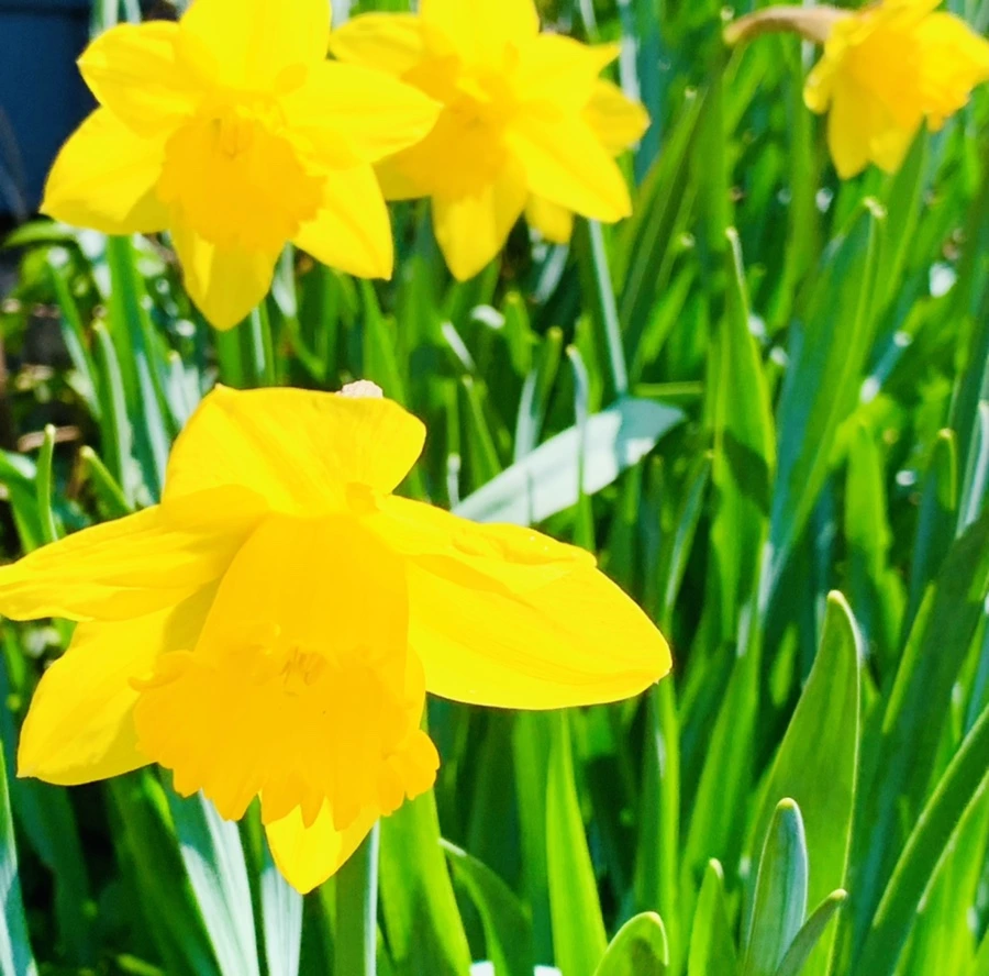 IMG_4326.jpg?type=w966