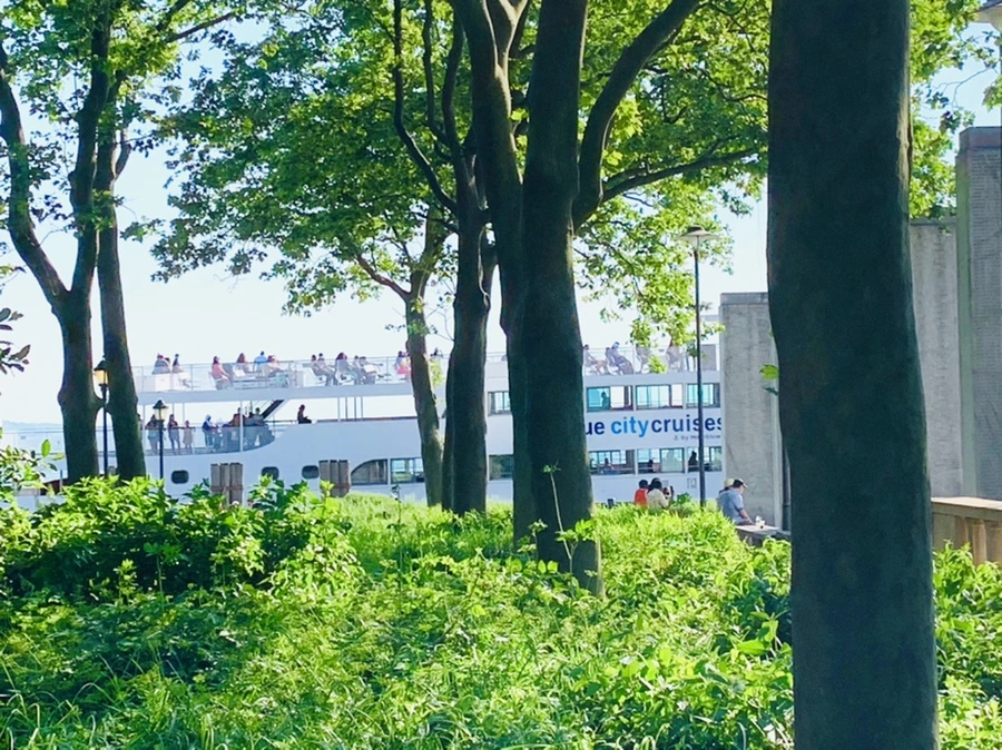 IMG_1151.jpg?type=w966