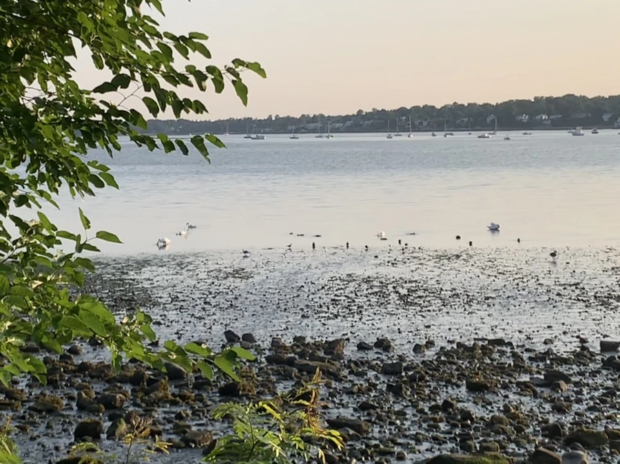 IMG_9791.jpg?type=w966