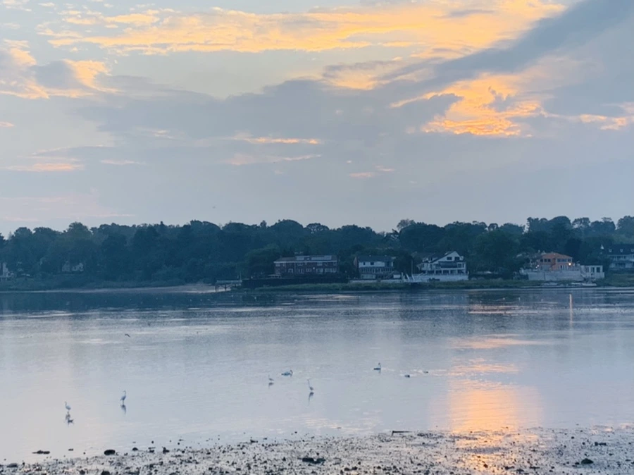 IMG_8191.jpg?type=w966