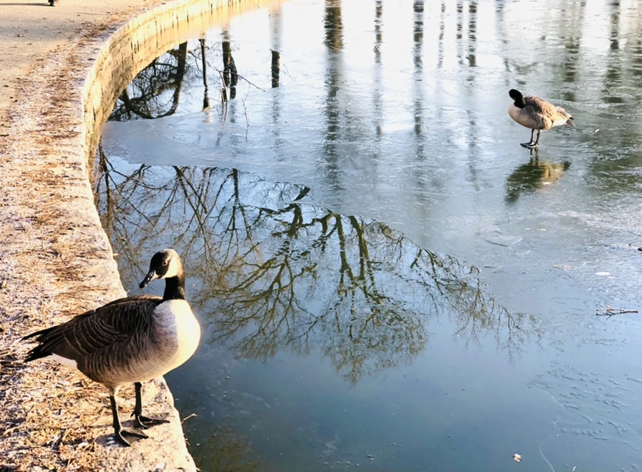 IMG_2243.jpg?type=w966