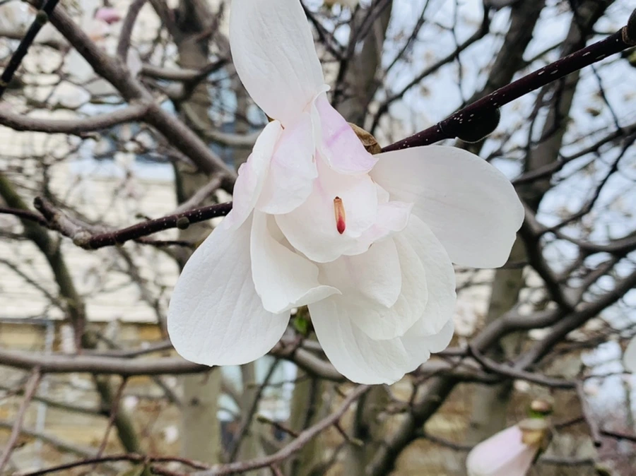 IMG_6121.jpg?type=w966