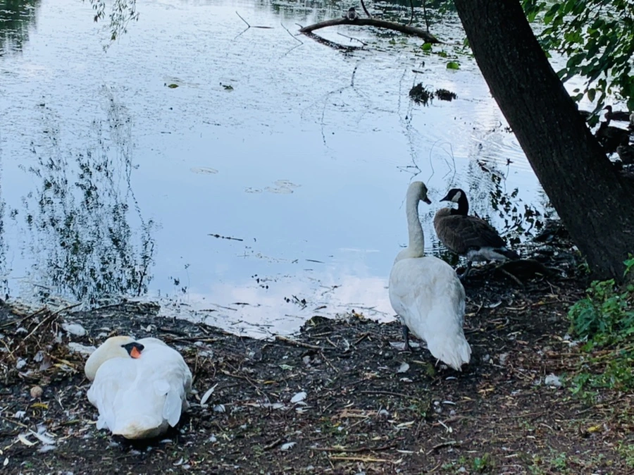 IMG_7632.jpg?type=w966