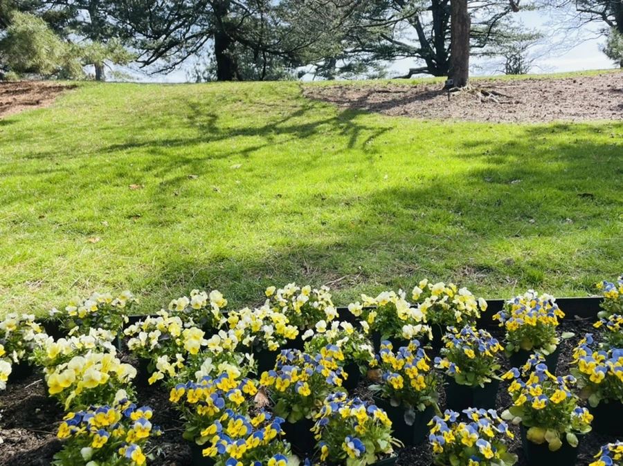 IMG_6529.jpg?type=w966