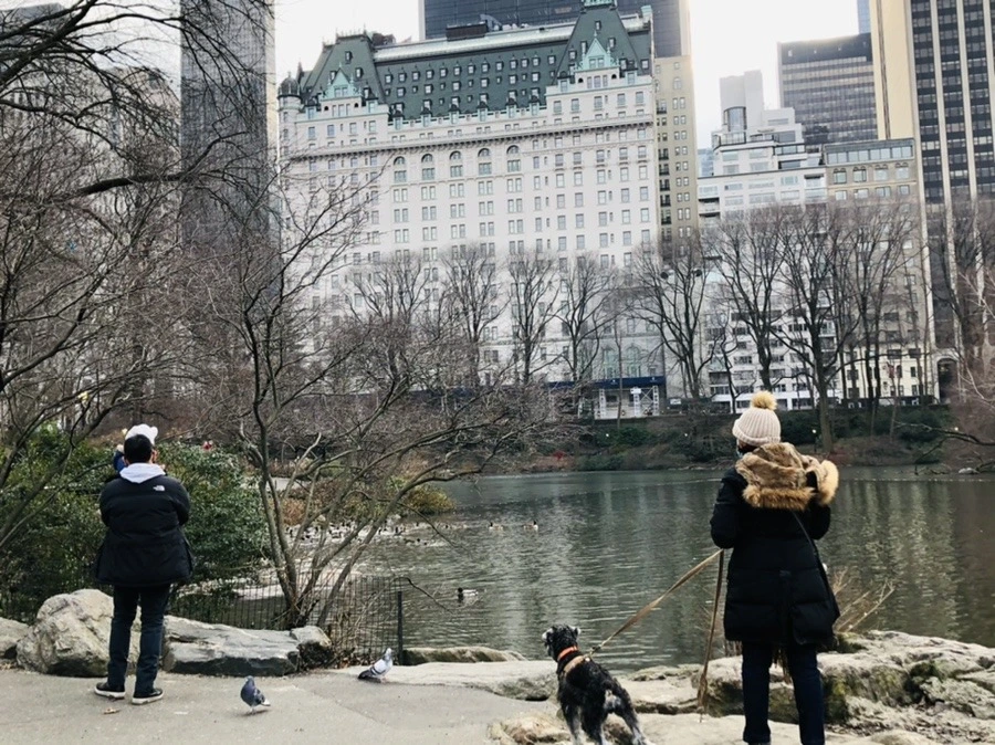 Yo7CHimALa0xF1LRTZW-Fln8R8Q