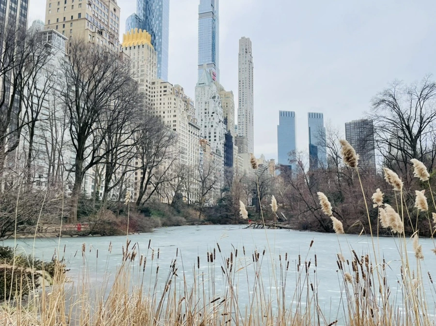 IMG_0620.jpg?type=w966