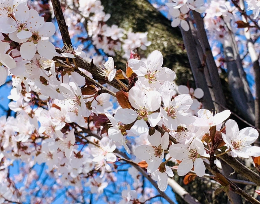 IMG_7928.jpg?type=w966