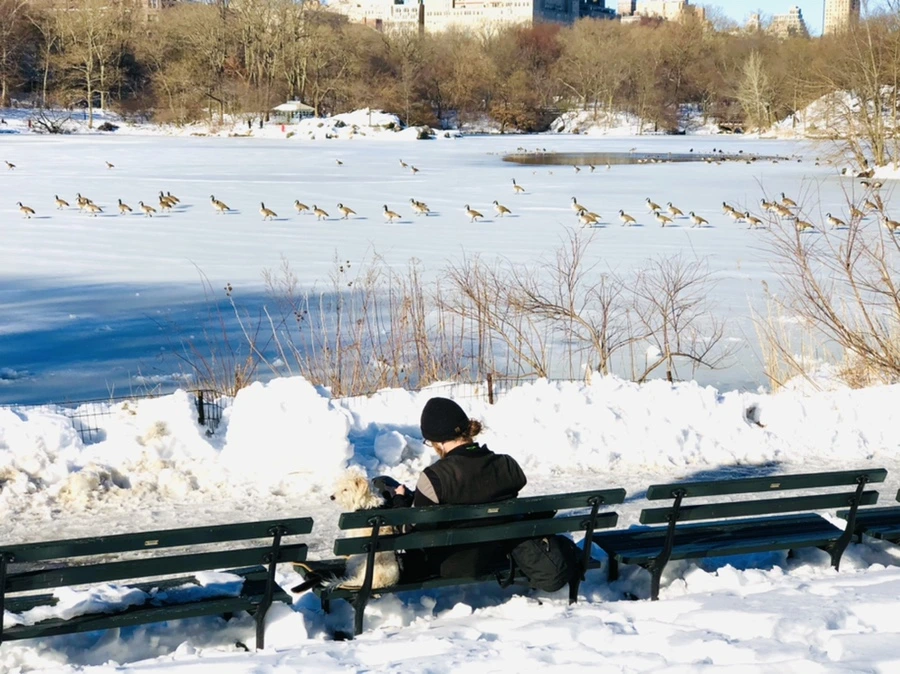 IMG_9871.jpg?type=w966