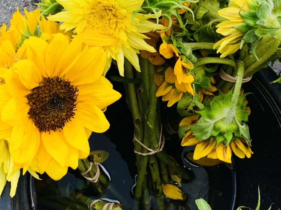 IMG_3328.jpg?type=w966