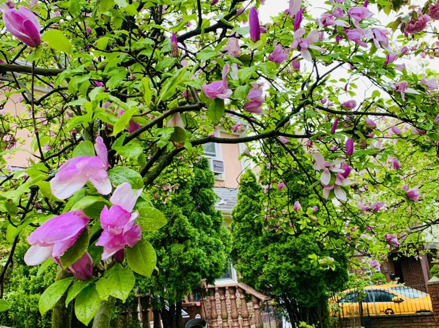 IMG_9481.jpg?type=w966