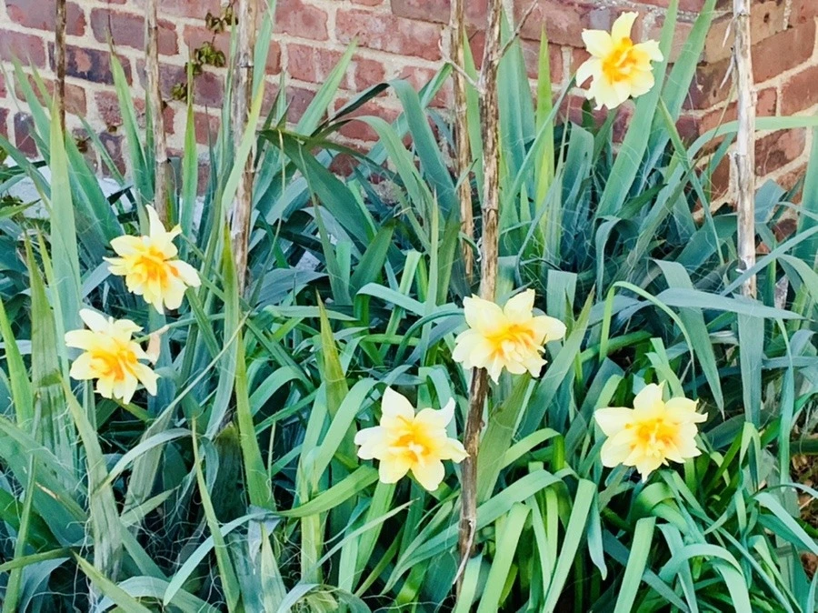 QXOi3Ju1A3cs8NTn6Swkt4DlNGM