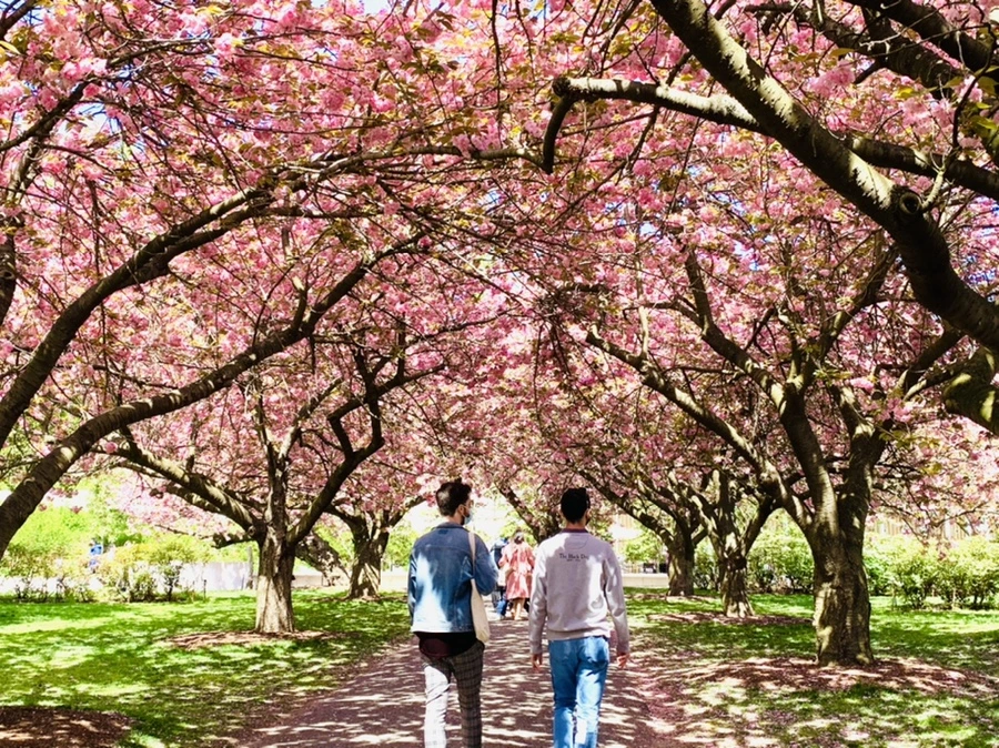 IMG_6421.jpg?type=w966