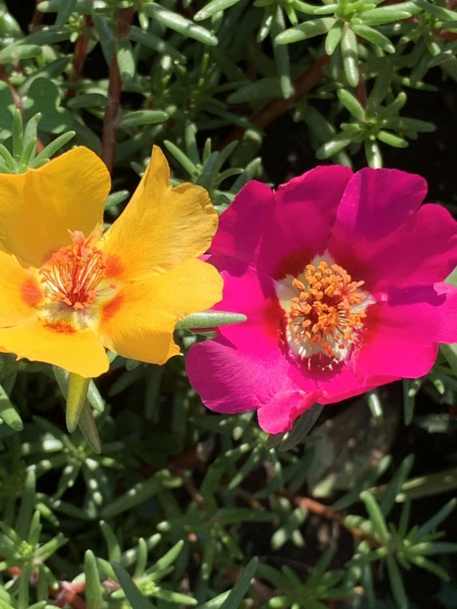 IMG_8388.jpg?type=w966