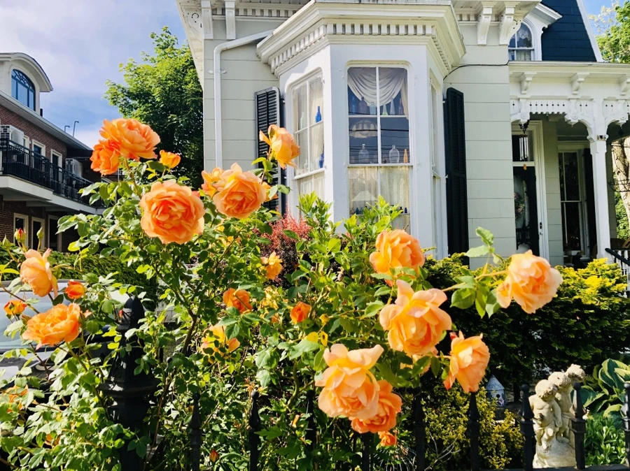 IMG_7485.jpg?type=w966