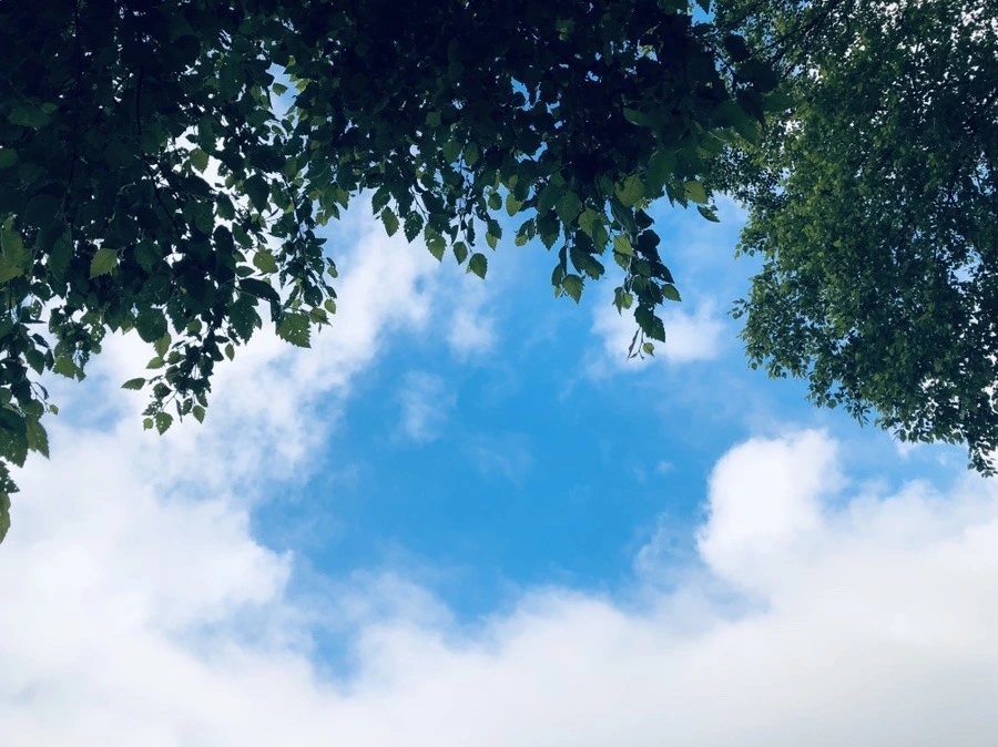 LZRXP4vrHy9Tbu1xx8iItd4603U