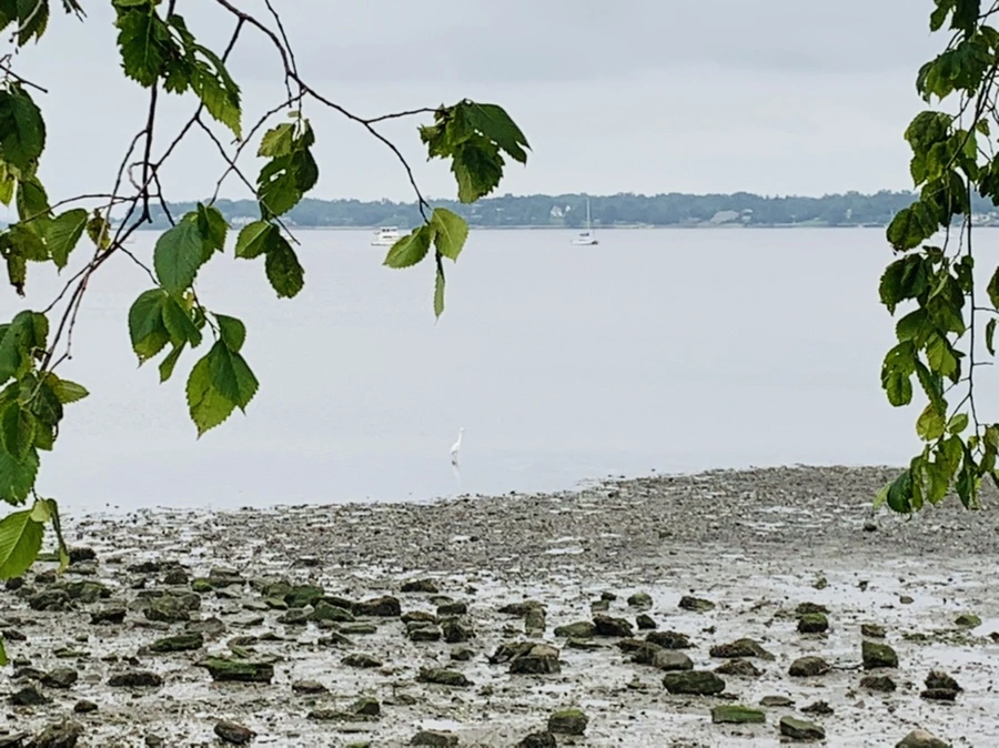 IMG_3710.jpg?type=w966