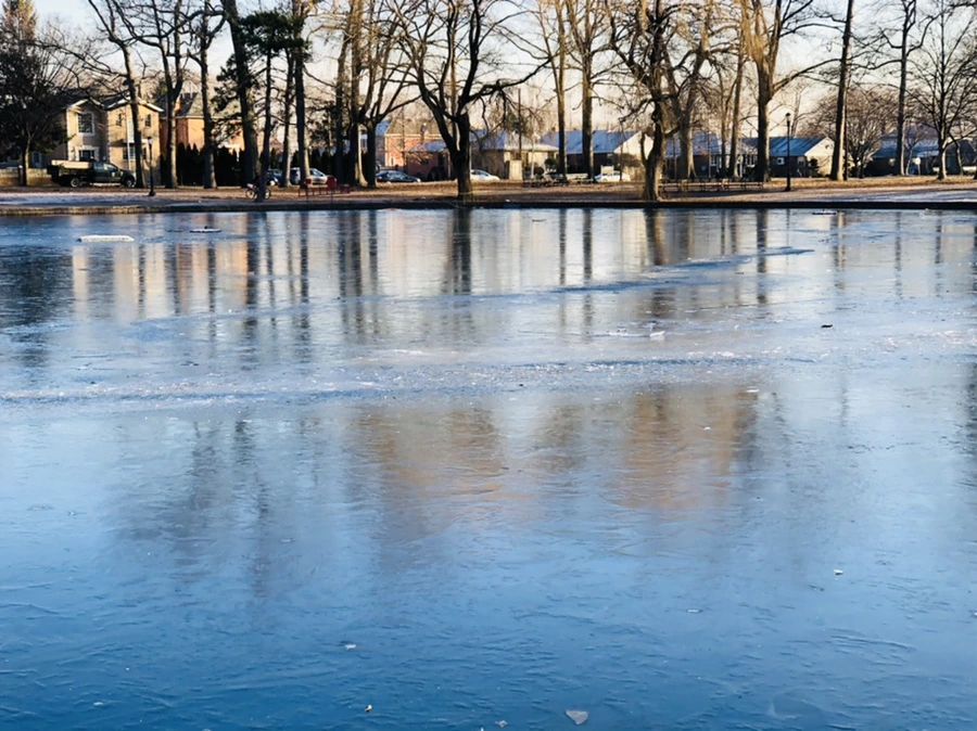 IMG_2237.jpg?type=w966