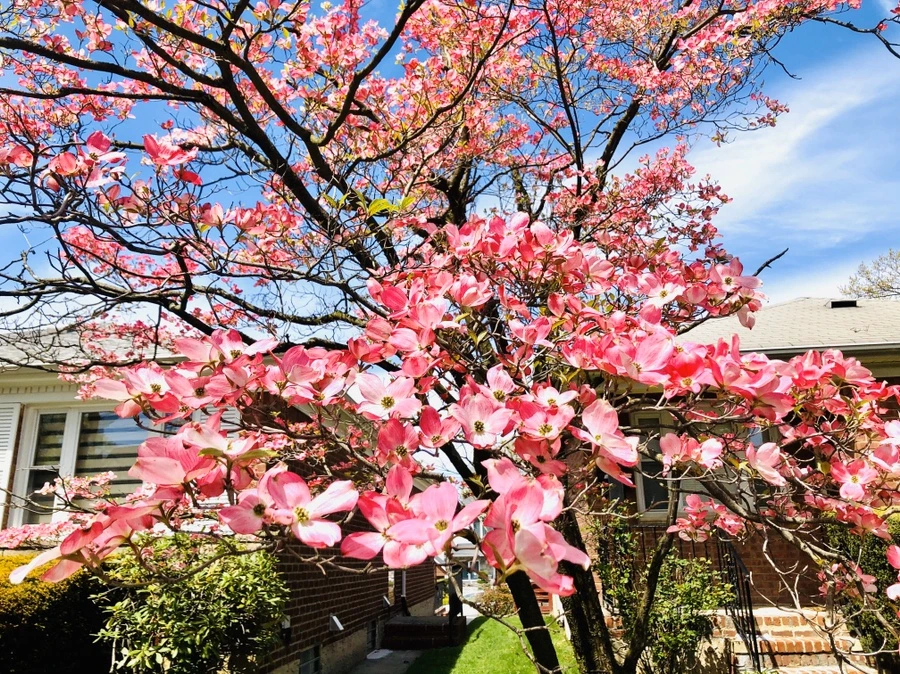 IMG_7217.jpg?type=w966