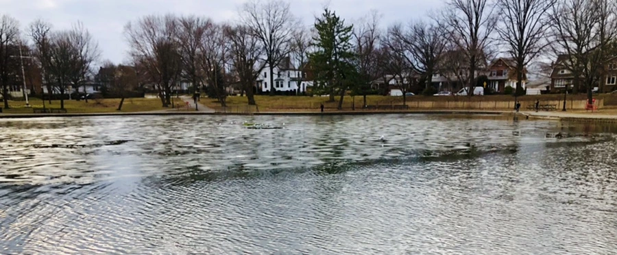 IMG_5072.jpg?type=w966